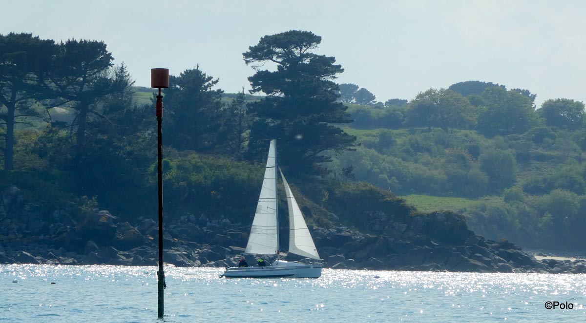 Îles et rochers de la Baie de Morlaix